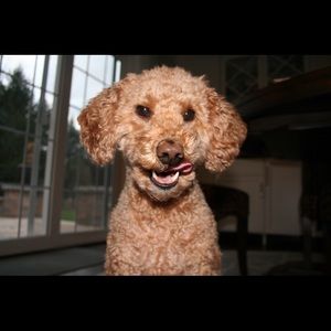 Meet your Posher, Claire